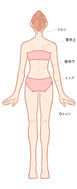 体の後側の各パーツ図