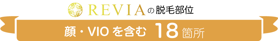 脱毛部位 顔・VIOを含む18箇所